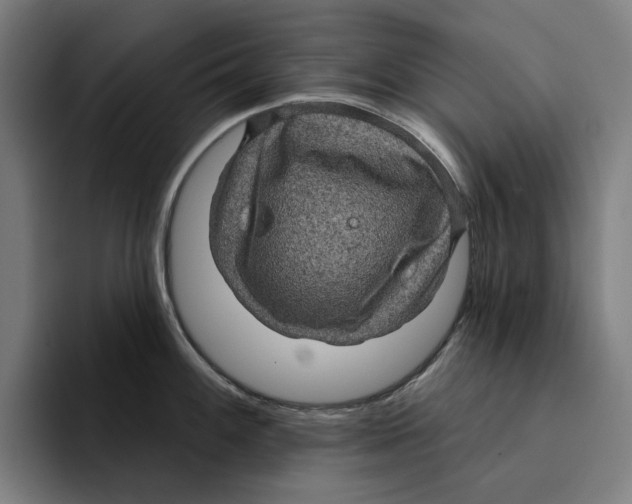 X0000094901100200712271447