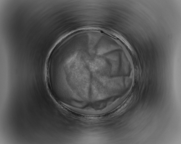 X0000094901101200712271447