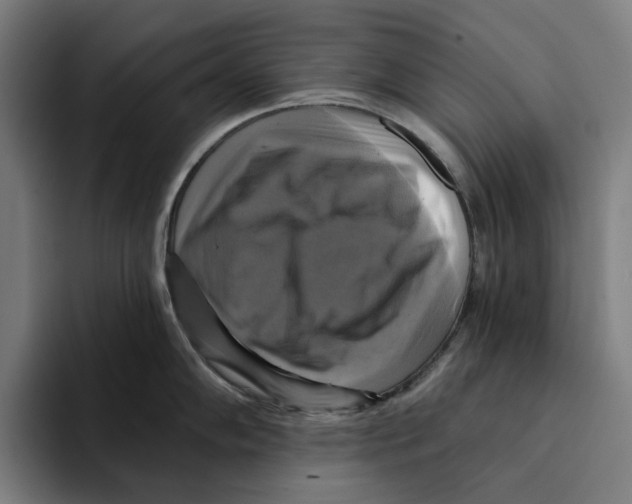 X0000094901102200712271447