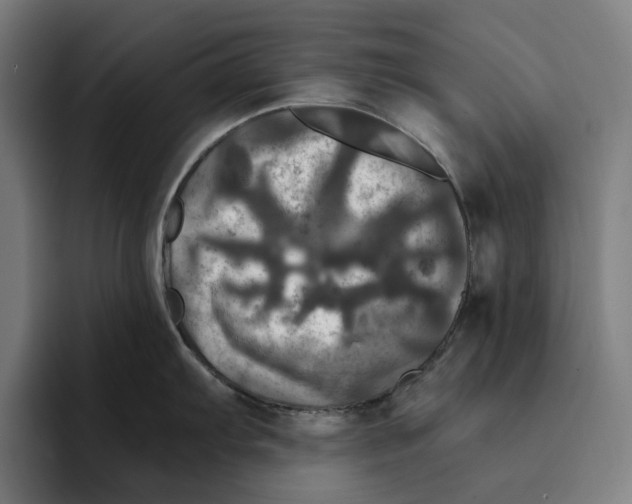 X0000094901103200712271447