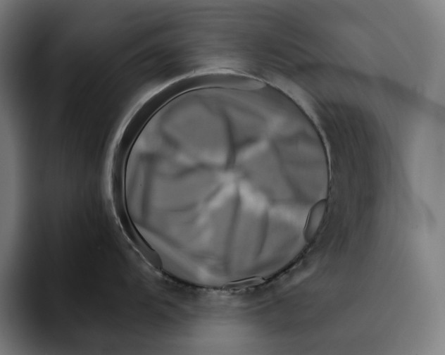 X0000094901104200712271447