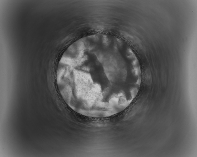 X0000094901105200712271446