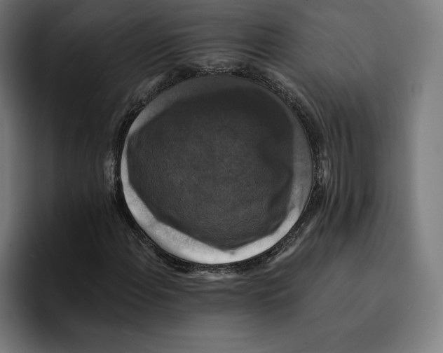 X0000094901108200712271447