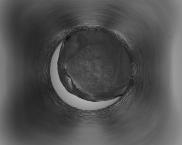 X0000094901110200712271447