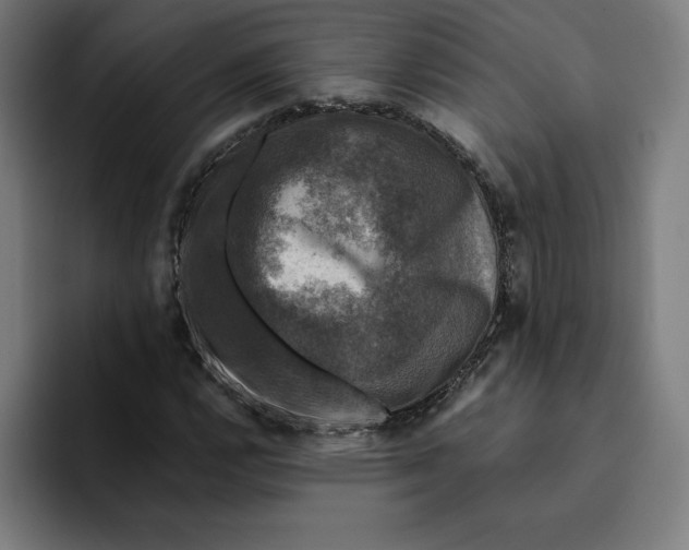 X0000094901112200712271447