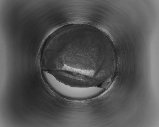 X0000094901114200712271447