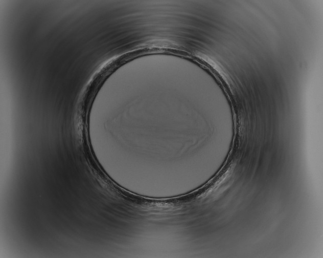 X0000094901115200712271447