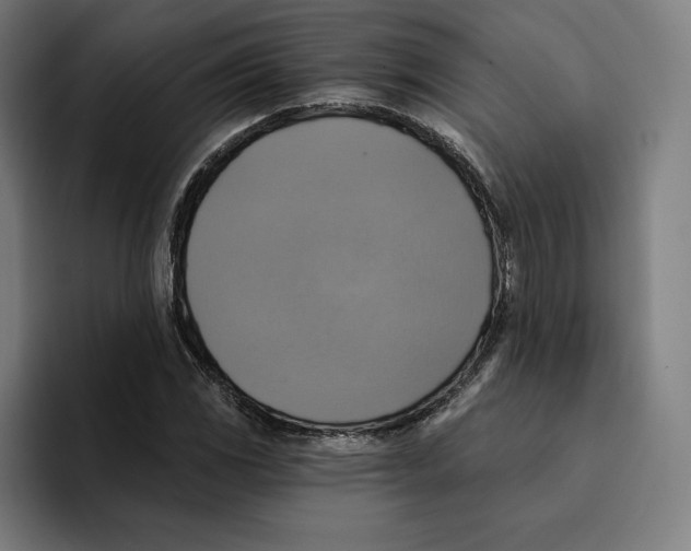 X0000094901117200712271447