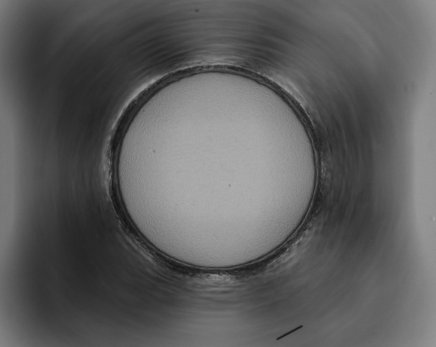 X0000094901119200712271447