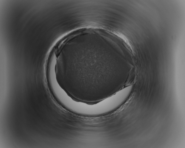 X0000094901120200712271447