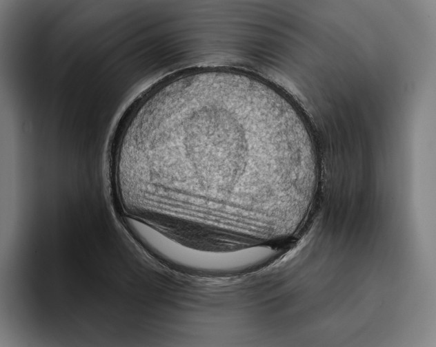 X0000094901122200712271447