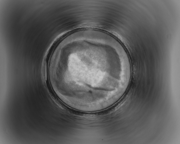 X0000094901123200712271447