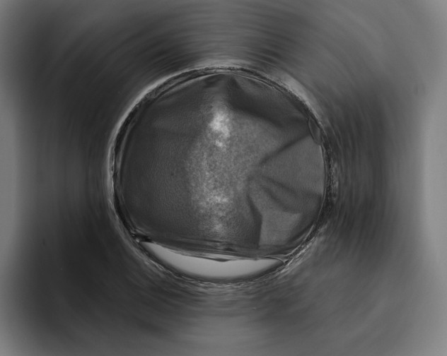 X0000094901124200712271447