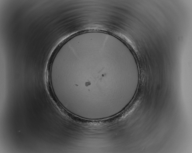 X0000094901125200712271447