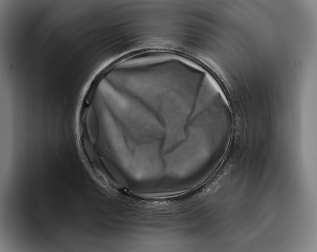 X0000094901128200712271447