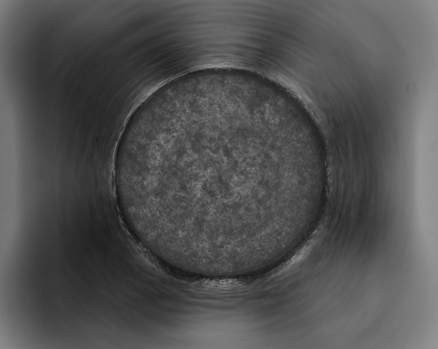 X0000094901129200712271447