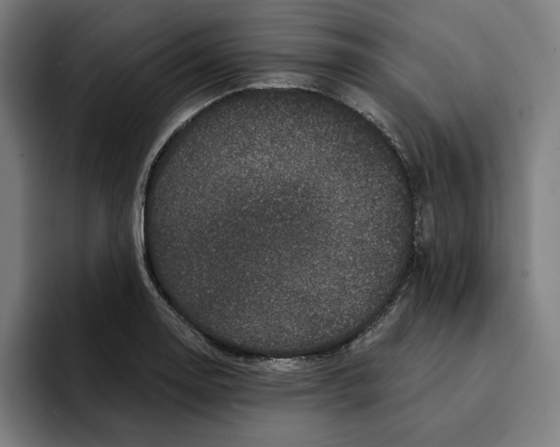 X0000094901130200712271447