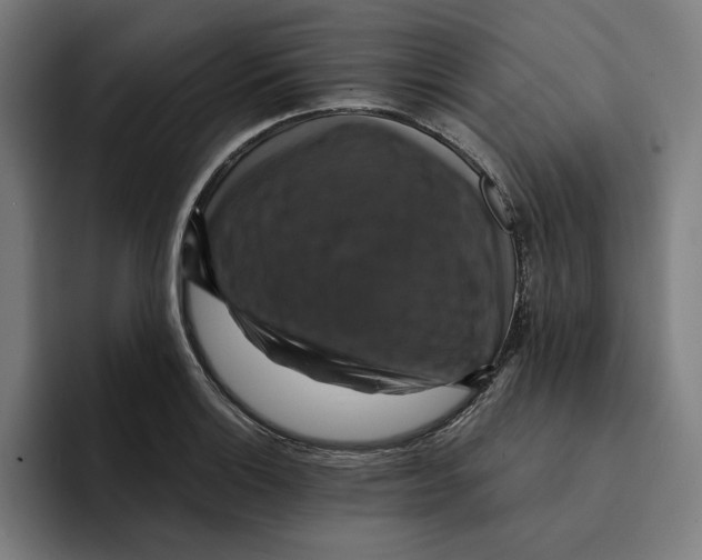 X0000094901132200712271447