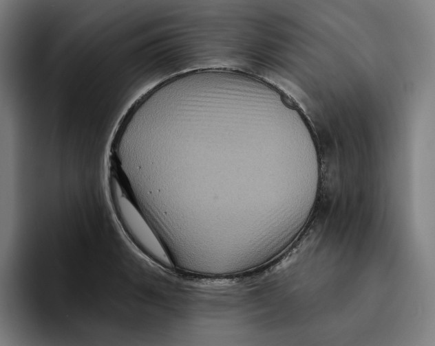 X0000094901135200712271447