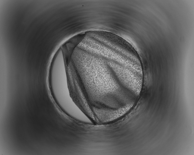 X0000094901136200712271447