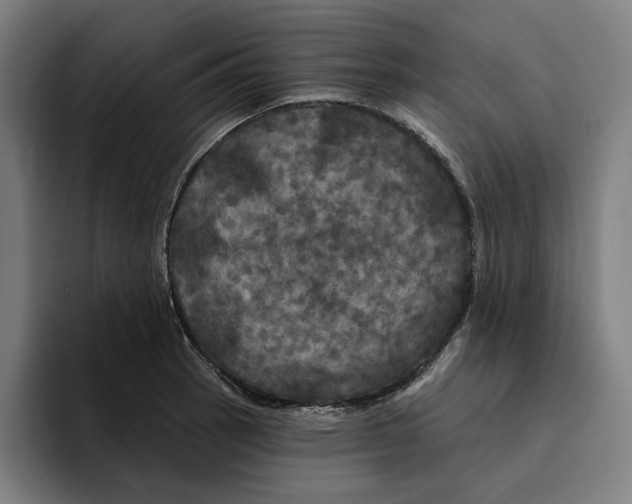 X0000094901137200712271447