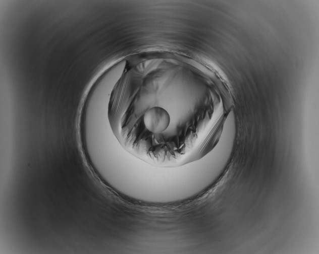 X0000094901138200712271447