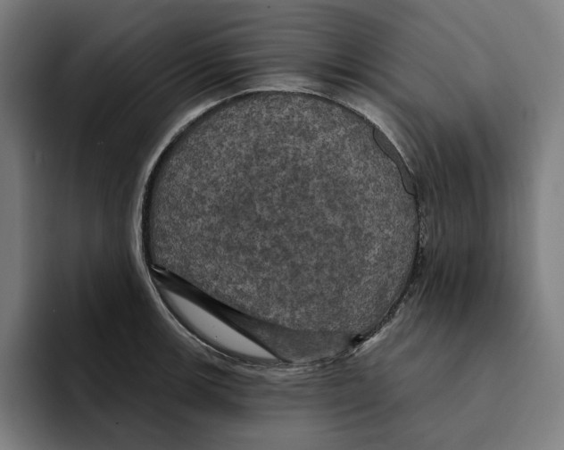 X0000094901139200712271447