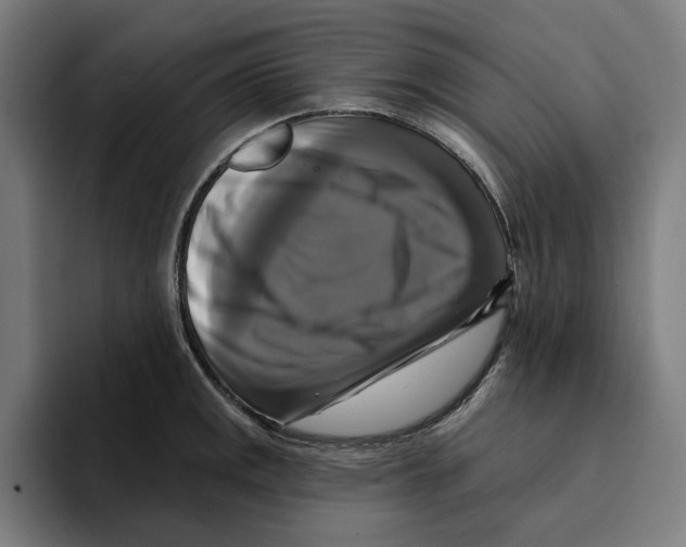 X0000094901141200712271447