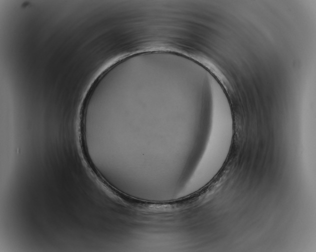 X0000094901142200712271447