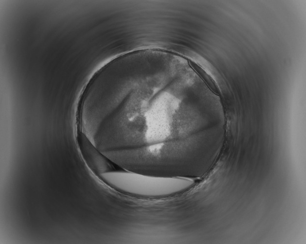 X0000094901143200712271447