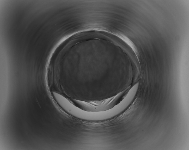 X0000094901144200712271447