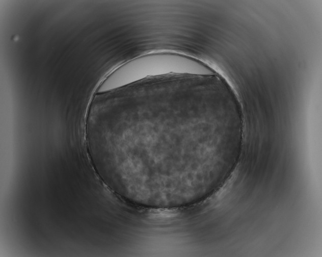 X0000094901145200712271447