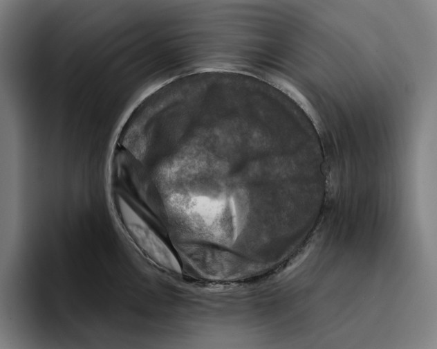 X0000094901146200712271447