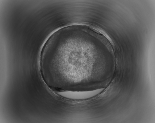 X0000094901148200712271447