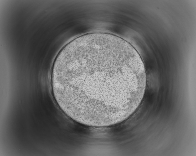 X0000094901150200712271447