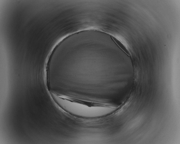 X0000094901151200712271447