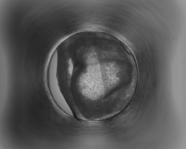 X0000094901152200712271447