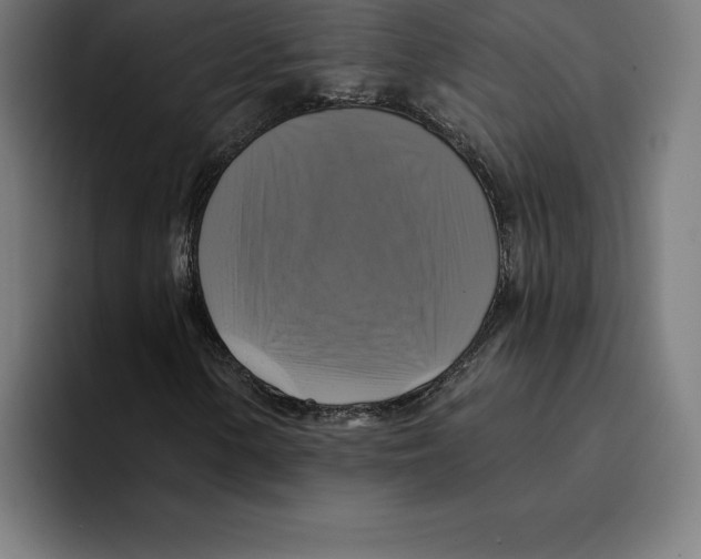 X0000094901154200712271446