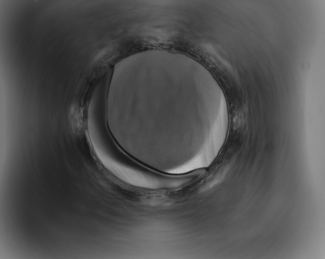 X0000094901156200712271446