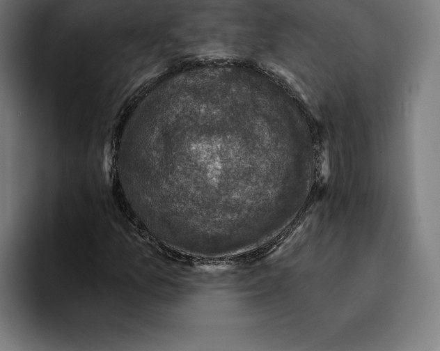 X0000094901157200712271446