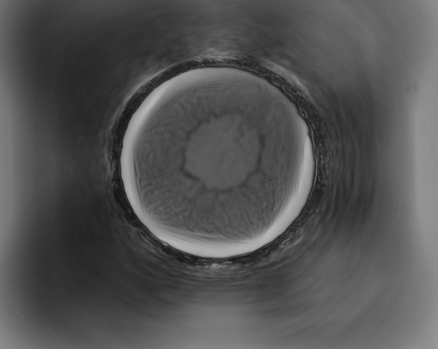 X0000094901160200712271446