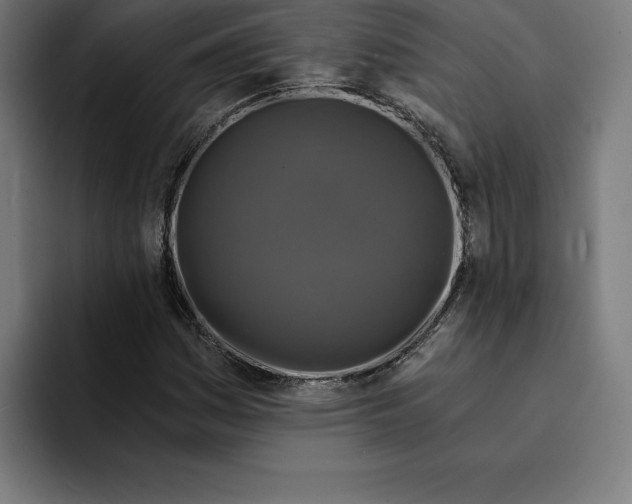 X0000094901161200712271446