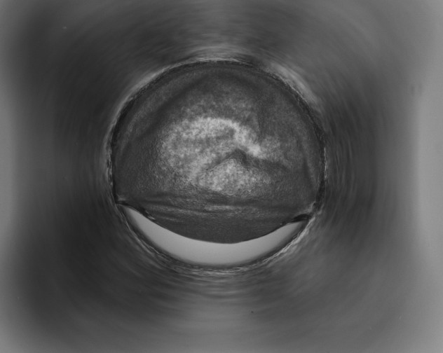 X0000094901164200712271446