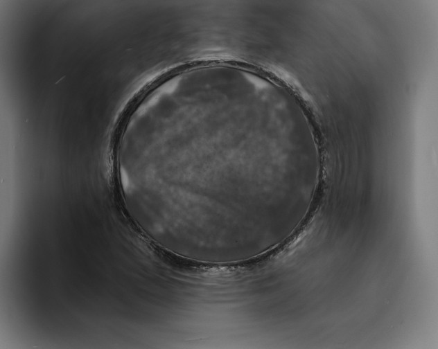 X0000094901167200712271446