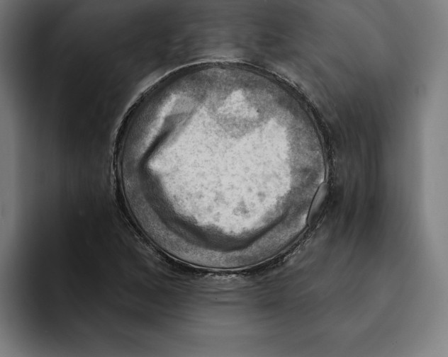 X0000094901168200712271446