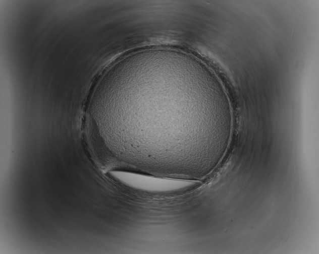 X0000094901169200712271446