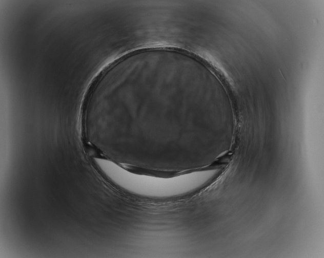 X0000094901173200712271446