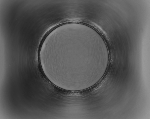 X0000094901174200712271446