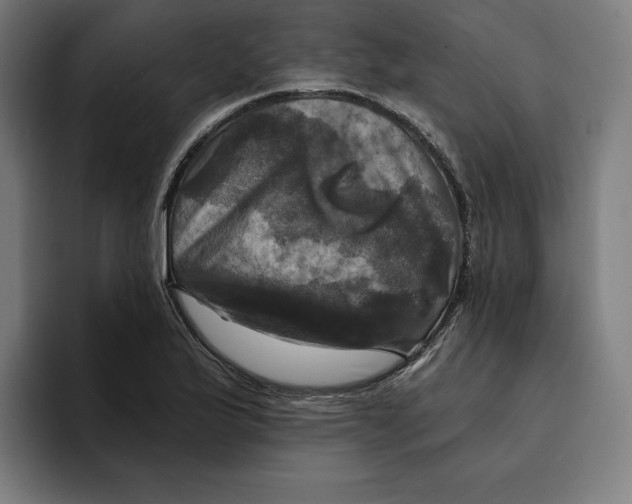 X0000094901175200712271446