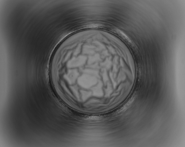 X0000094901178200712271446